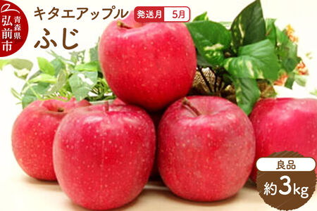 【26年5月クール便発送】りんご ふじ【良品】約3kg【CA貯蔵】キタエアップル