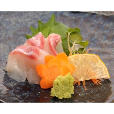ふるさと納税 沼津市 トロのような脂ノリ!沼津産さしみ用マダイ(皮引き柵)約130g×2袋 |  | 01