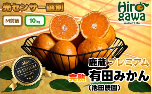 鹿蔵 プレミアム 有田みかん ( 完熟 ) 10kg+250g（傷み補償分） 光センサー 選果　※北海道・沖縄・離島への配送不可 / 温州みかん 痛み補償 果物 フルーツ くだもの 高級みかん 秀品 フルーツ 柑橘 蜜柑 mikan 産地直送 数量限定 国産 和歌山 【ikd004-prem-10】