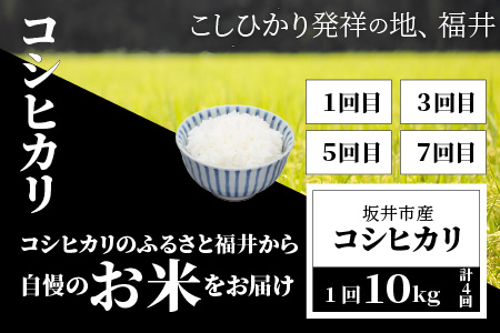 【定期便 8回コース】 坂井市産コシヒカリ 計40㎏ ＋ 若狭牛切り落とし 計2㎏ [J-3201]