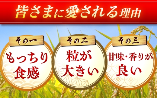 【10kg✕4回定期便】【令和7年産】さがびより 計40kg（5kg✕2袋） 吉野ヶ里町/増田米穀 [FBM050]
