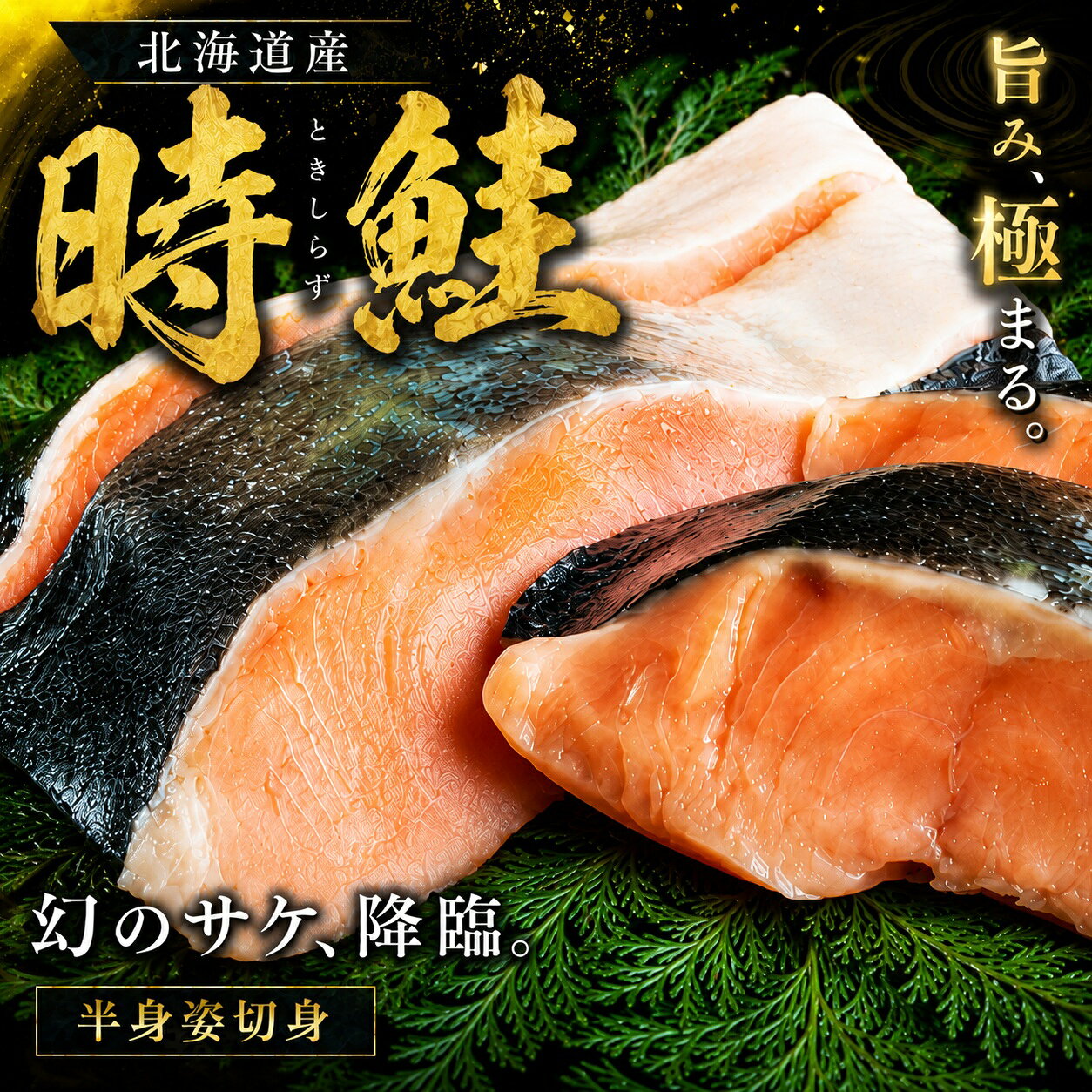 【ふるさと納税】 北海道オホーツク産　時鮭　半身姿切身　約800g(800g×1パック)【配送不可地域：離島】 シャケ 鮭 しゃけ 時鮭 時しゃけ 切身 半身 朝食 夕食 お弁当 おかず 簡単調理 冷凍 北海道 美幌町