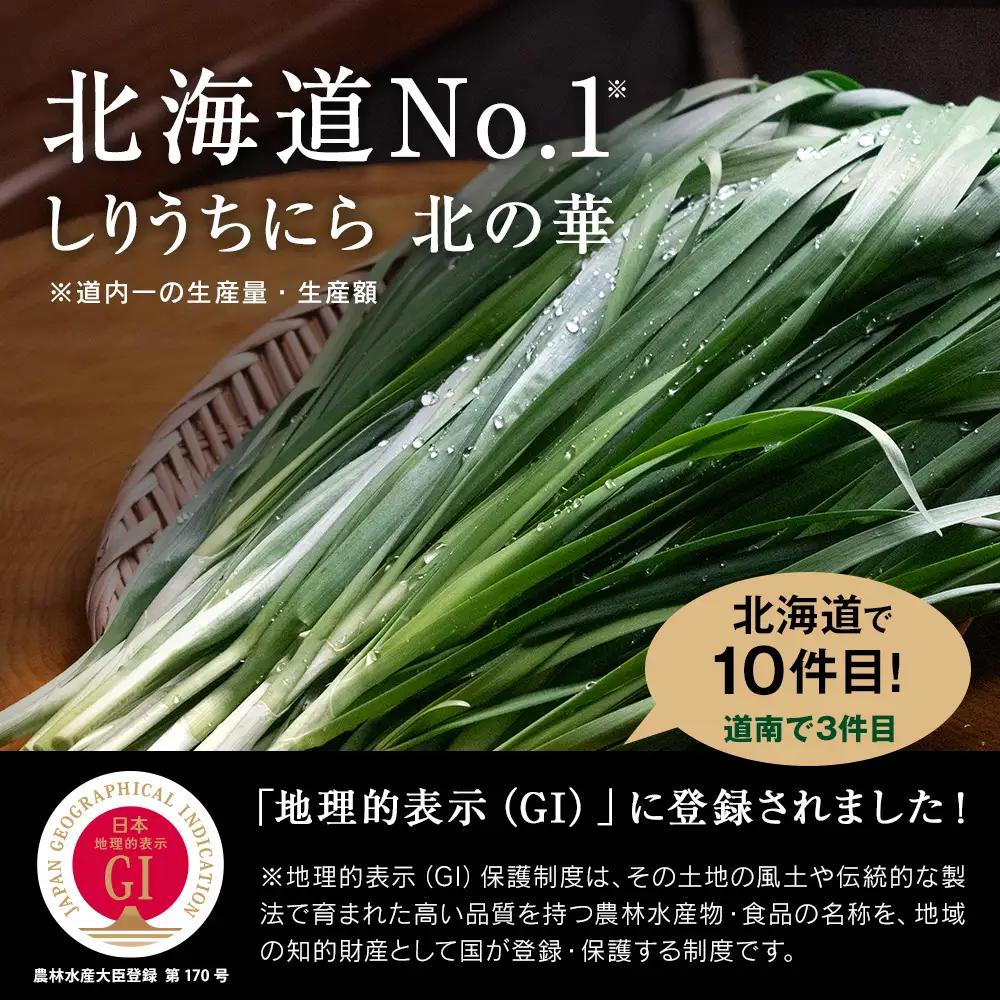 【2027年発送予約】 しりうちにら北の華 50束【JA新はこだて】