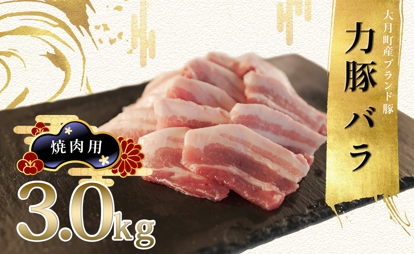 
【高知県 大月町産ブランド豚】力豚バラ　焼き肉用 3kg
