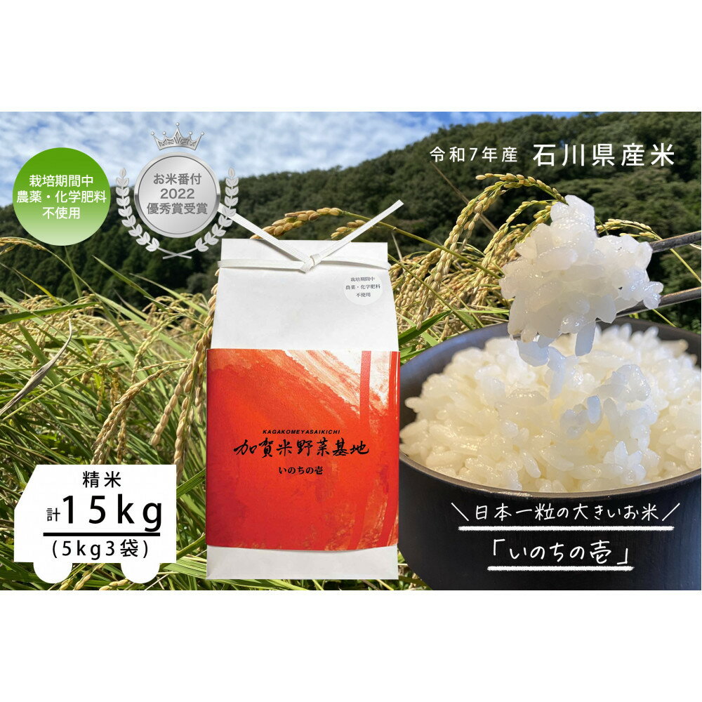 【ふるさと納税】《令和7年産 新米》【お米番付優秀賞受賞農家】日本一粒の大きいお米『いのちの壱』白米15kg | 金沢市 お米 いのちの壱 おすすめ 人気 送料無料