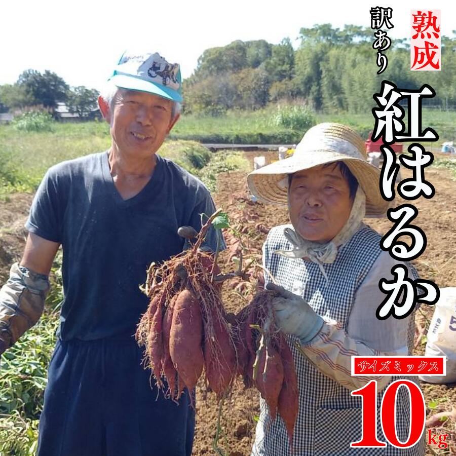 【ふるさと納税】 訳あり 熟成 紅はるか 10kg サイズ ミックス さつまいも サツマイモ 焼き 芋 やき いも 冷やし 焼き芋 蜜芋 スイートポテト おやつ デザート スイーツ 国産 長期熟成 低温熟成 高糖度 甘い 栄養豊富 食物繊維 季節限定 愛媛県 愛南町 愛南町産 愛なんよ
