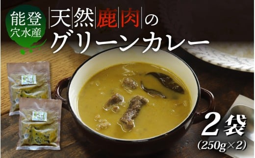 【能登・穴水産】天然 鹿肉のグリーンカレー 2袋セット（計500g） | 奥能登 能登半島 穴水町 ジビエ 鹿肉 お肉 カレー レトルト 500グラム 