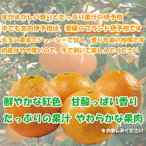 訳あり 宮内伊予柑 興居島産 約5kg 【2026年1月下旬から順次発送】 訳あり みかん 訳あり柑橘 訳あり商品 伊予柑 いよかん みかん 宮内いよかん 興居島産 柑橘 松山 愛媛県 【VEG018