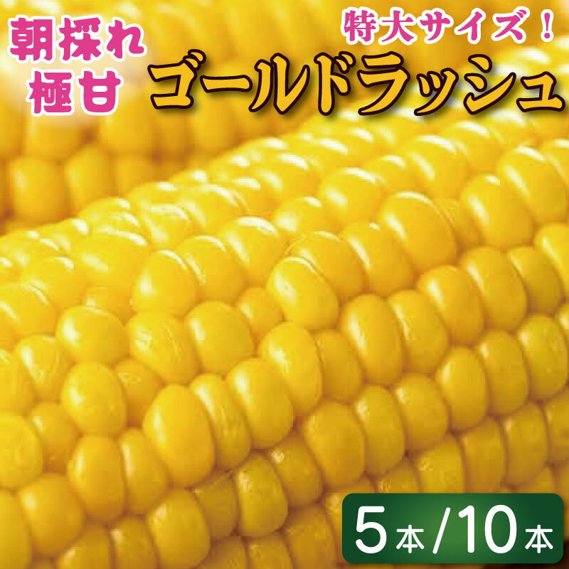 【ふるさと納税】 とうもろこし スイートコーン ゴールドラッシュ 選べる 5本 2kg / 10本 4kg トウモロコシ コーン 甘い 先行予約 期間限定 夏 旬 野菜 鍋 炒め物 煮物 スープ 弁当 惣菜 おかず 健康 新鮮 国産 送料無料 吉野川市 徳島県