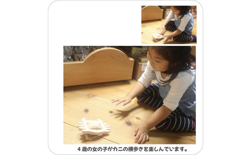 木のおもちゃ/かに (水陸両用 木のおもちゃ) psc お風呂で遊ぼう！ 6ヶ月 1歳 1歳半 プレゼント ランキング 赤ちゃん おもちゃ 老人 リハビリ