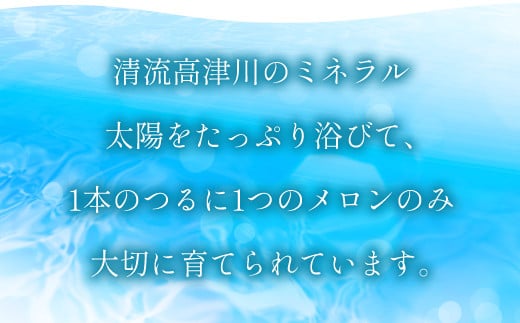 清流高津川のミネラルと太陽をたっぷり浴びて、１本のつるに１つのメロンしかつけないようにして大切に育てられています