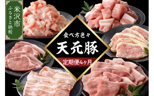 【定期便】 4ヶ月定期便 天元豚 セット 全4回 豚肉 ロース バラ 小間 モモ 挽き肉