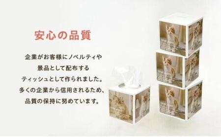 キューブ型 ティッシュ 42箱 ティッシュペーパー 日用品 日用品