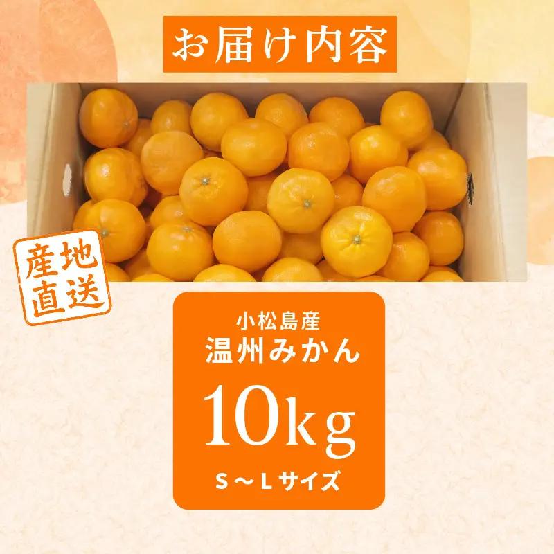 【2026年10月下旬順次発送】　みかん 10kg 温州みかん S~Lサイズ 小松島市 ミカン