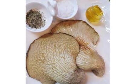 特選 あわび茸 生 500g ( きのこ 希少 足太あわび茸 きのこ キノコ 国産 きのこ 食材 健康 きのこ 農薬不使用 滋賀県 きのこ 竜王町 きのこ 送料無料 贈り物 ギフト 産地直送 )