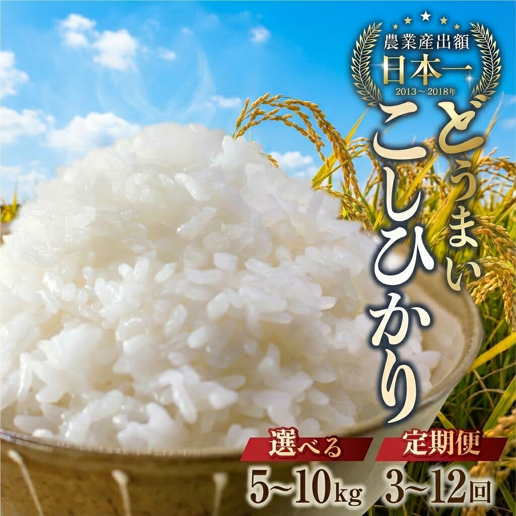 【ふるさと納税】《令和8年産 新米 定期便》 こしひかり 5kg 10kg 定期便 3か月 6か月 12ヶ月 選べる お米 おこめ 米 コメ ごはん コシヒカリ ご飯 精米 令和8年 定期 6か月 令和7年産 売り切れ 備蓄米 よりおいしい 愛知県 3回 6回 12回 人気 先行予約 3ヶ月 6ヶ月