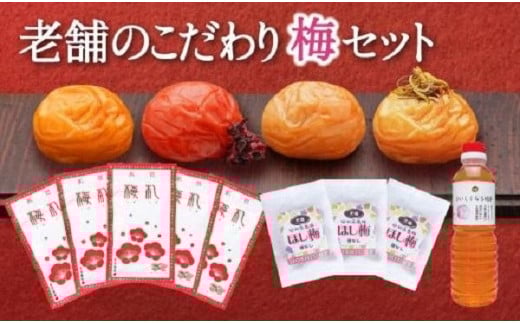 梅満喫セット 特選A級 紀州南高梅 味わい4種800g 千年の知恵 梅干し 梅札 和歌山県産 B-207