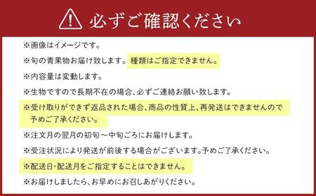 紀南の採れたて新鮮フルーツ・お米詰め合わせセット（5～8品目詰め合わせ）