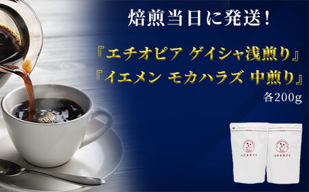 超希少種コーヒー 豆 2種セット 計400g『エチオピア　ゲイシャ』＆『イエメン　モカハラズ』コーヒー