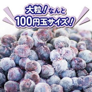 冷凍 ブルーベリー 約1350g 【 ブルーベリー 】
