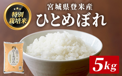 ≪宮城県登米市産≫＜令和7年産・新米＞ 特別栽培米 ひとめぼれ 5kg(5kg×1袋)  精米 お米 おこめ 米 コメ 白米 ご飯 ごはん おにぎり お弁当 ブランド米【みやぎ登米農業協同組合】tm399