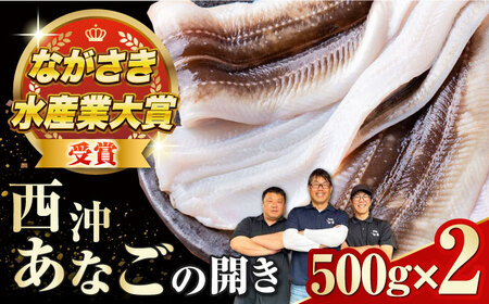 【最速発送】対馬産 天然あなごの開き500g×2[WCO002]国産 肉厚 穴子 アナゴ 新鮮 冷凍 白焼き 天ぷら 揚げ物 贈り物  スピード発送 最短発送
