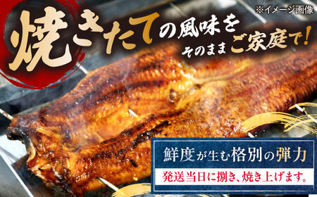 【 蒲焼き 】国産活うなぎ4尾[AQDF009]  蒲焼き
