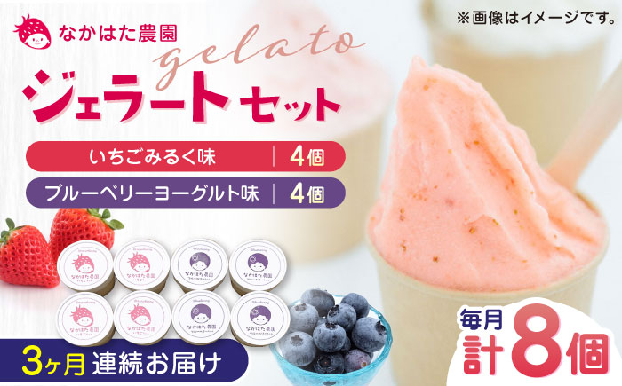 【限定数量】【全3回定期便】熊本県産 いちご ブルーベリー ジェラートセット 計8個 ( 2種 × 各4個 ) アイス カップ 熊本 山都町 冷凍【なかはた農園】[YBI034] 
