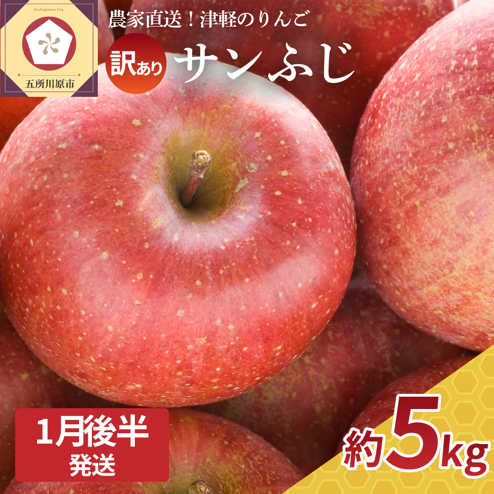 【2026年1月後半発送】 訳あり りんご サンふじ 約 5kg 青森 果物 【 訳アリ リンゴ 林檎 ふじ さんふじ 】