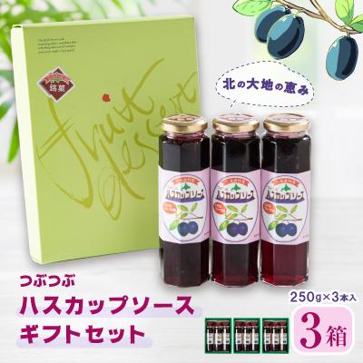 ふるさと納税 安平町 【北の大地の恵み】つぶつぶハスカップソース　ギフトセット　250g×9本