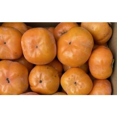 ふるさと納税 豊橋市 豊橋石巻産次郎柿(ご自宅用不揃い)2kg(8〜12玉) |  | 01