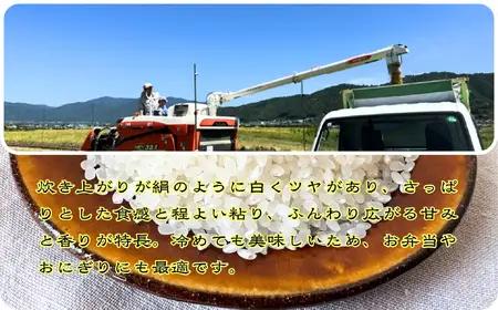定期便 令和8年産 新米 京都丹波産 キヌヒカリ 5kg×12回 計60kg 白米 精米