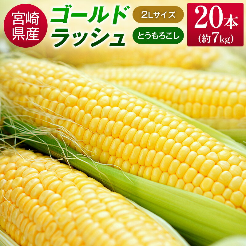【ふるさと納税】宮崎県産 朝採れ ゴールドラッシュ 約7kg（2Lサイズ×20本） ※2027年5月中旬発送開始 とうもろこし 旬 野菜