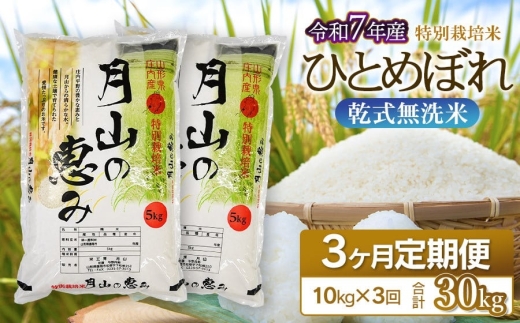 【3ヶ月定期便】 令和7年産 特別栽培米 ひとめぼれ 乾式無洗米 10kg (5kg×2袋) ×3回　毎月1回中旬発送 山形県鶴岡市産 米工房月山 | こめ 定期便 東北 山形 鶴岡 国産 ブランド米 米どころ 庄内米 人気 贈答 ギフト プレゼント 炊き上がり ふっくら 食感 もっちり 甘い うま味 バランス 良好 和食 洋食 中華 ピッタリ お弁当 おすすめ 農家直送 令和7年産