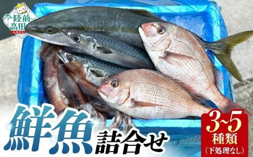 広田湾 椿島定置網で採れた鮮魚詰め合わせ(3～5種類程度)