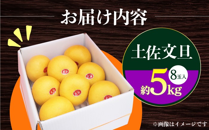 【先行予約】南国高知温室土佐文旦 約5kg 8玉 文旦 ぶんたん フルーツ 果物 5キロ 高知県