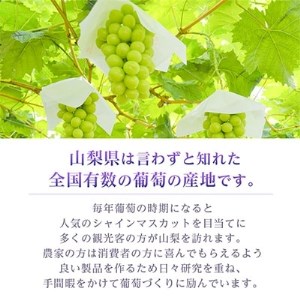 【2024年度先行受付】大人気!山梨のシャインマスカット2～3房　1.1kg以上 ふるさと納税【配送不可地域：離島】【1274436】