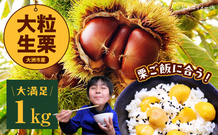 【先行予約】【9月中旬から順次発送】自然な甘みと豊かな香り！愛媛県産高級和栗 大粒生栗 1kg　愛媛県大洲市/あじさい農園 [AGAE009]くり クリ モンブラン マロン 秋の味覚 和菓子 栗ご飯 栗ごはん 栗きんとん ケーキ スイーツ クリ 手作りスイーツ素材 おやつ 材料 