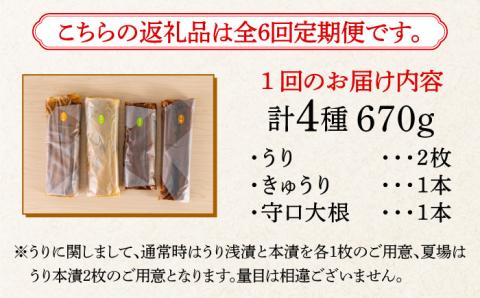 【全6回定期便】【明治神宮ご奉献品】奈良漬 「琥珀漬」670g ご家庭用 詰め合わせ 《築上町》【有限会社奈良漬さろん安部】奈良漬 奈良漬け [ABAE029]