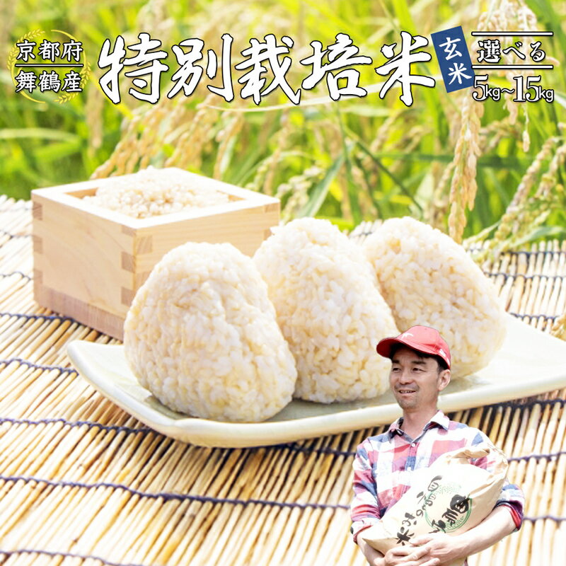 【ふるさと納税】 棚田米 玄米 5～15kg 特別栽培米 7割削減 コシヒカリ 令和6年産 京都産 舞鶴 こしひかり ごはん 農家直送 生産者直送
