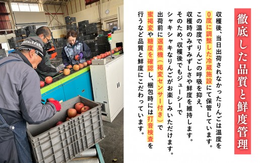 2027年1月発送　品種お任せ　贈答用　旬のりんご詰め合わせ３kg【青森県 平川市 そと川りんご園】