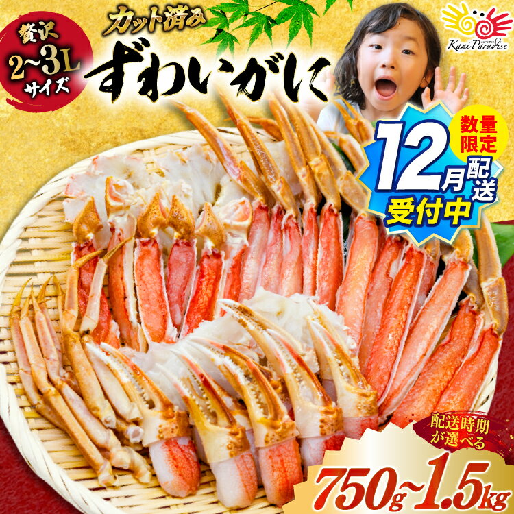 【ふるさと納税】【12月配送受付中 数量限定】 訳あり 【選べる内容量 配送時期】カット済 生 ずわいがに むき身 セット 総重量750g/1.5kg (正味重量600g/1.2kg) 2-3Lサイズ [カネダイ 宮城県 気仙沼市 20565777] かに カニ ズワイガニ ずわい ズワイ 蟹