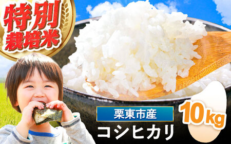 コシヒカリ 10kg BIBV004 コシヒカリ