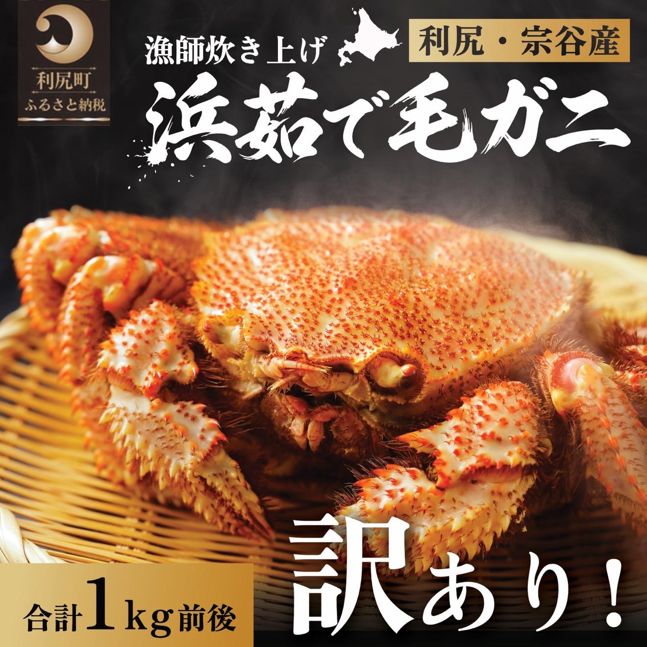 【ふるさと納税】【2026年先行受付】北海道産 【訳あり】 浜茹で毛ガニ 合計1kg前後（未冷凍・チルド配送）利尻・宗谷産【2月より順次出荷】｜毛蟹 蟹 かに カニ味噌 蟹味噌 ボイル 海鮮 魚介 [1060054]