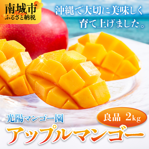 ＜先行予約・数量限定＞アップルマンゴー 良品（2kg）KM004