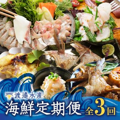 ふるさと納税 玄海町 【発送月固定定期便】渡邉水産・海鮮定期便(7月〜9月発送)【Z071】全3回