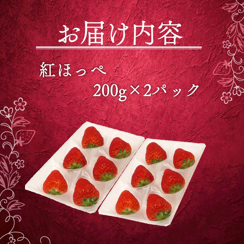 いちご 紅ほっぺ 計 400g 計 2 パック 高級 イチゴ 苺 セット べにほっぺ 2 パック 200g × 2 パック フルーツ 果物 ストロベリー 産地直送 国産 スイーツ デザート くだもの