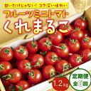 【ふるさと納税】 定期便 6回 フルーツミニトマト 1.2kg 『 くれまるこ 』 フルーツトマト とまと トマト ミニトマト 甘い 濃厚 美味しい 箱詰め 高知 久礼 宇井農園