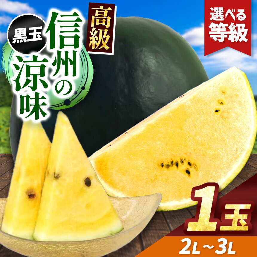 【ふるさと納税】先行予約【選べる】信州波田産 高級 黒玉スイカ！信州の涼味 2L～3Lサイズ 1玉｜ふるさと納税 長野県 信州 松本 果物 フルーツ すいか スイカ 西瓜 贈答 季節限定 甘い くだもの ふるーつ