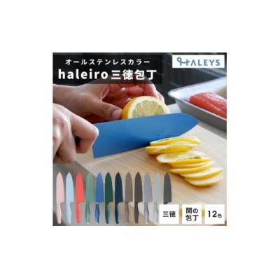 ふるさと納税 春日井市 【ネモフィラブルー】オールステンレスのカラー包丁「haleiro(ハレイロ)」サントク